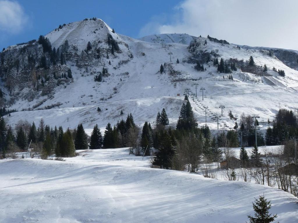 Les Amborzales Apartment Le Grand-Bornand Luaran gambar